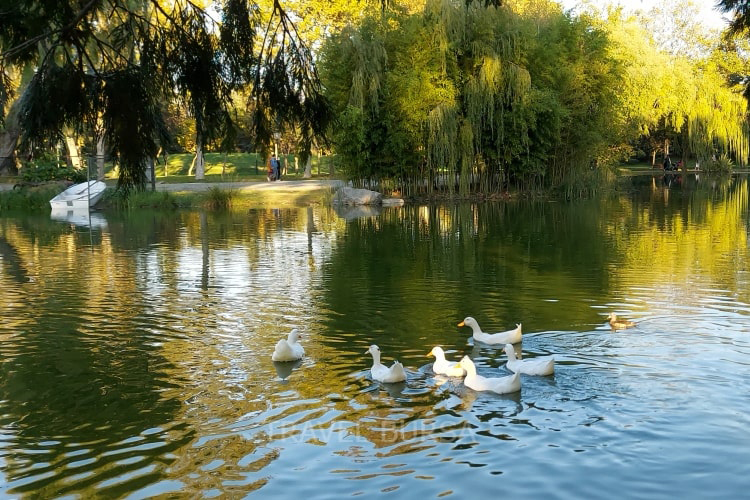 Botanical Park in Bursa