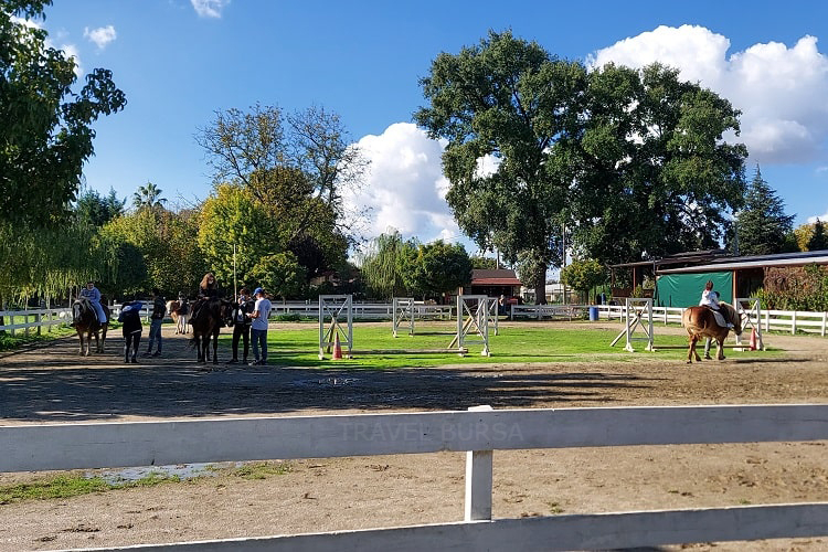 Horse Riding in Bursa