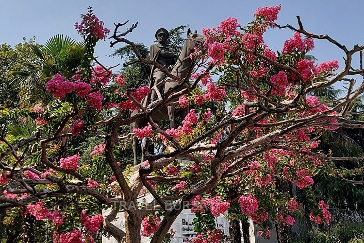 The Downtown and The Statue of Ataturk